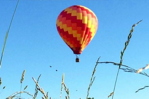 Picture of Albany Hot Air Balloon Ride