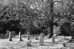 Burying Point Cemetery Salem Adults-only Ghost Tour House