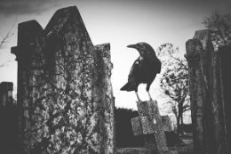 Salem Witch Trials Tour cemetery