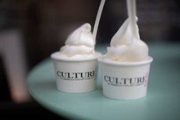 Culture NY yogurt on Greenwich Village Food Tour, NYC