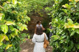 Charleston, South Carolina guided sightseeing tour gardens