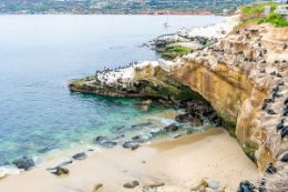 La Jolla Cove on San Diego guided food and drink tour